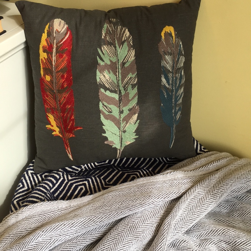 Multicolor Feather Throw Pillow